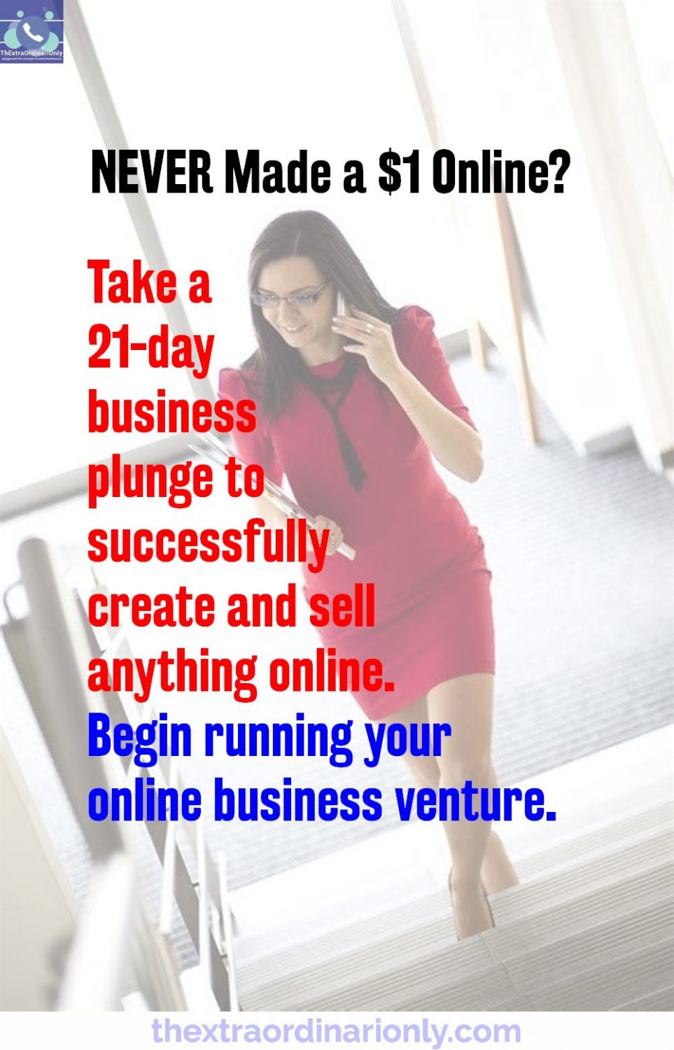 21-day business plunge to successfully create and sell anything in online business