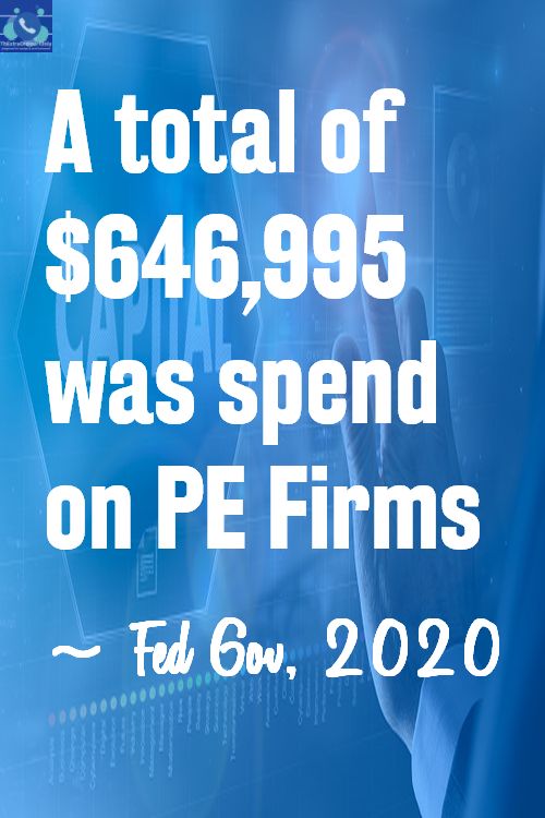 According to Anything research In 2020, the federal government spent a total of $646,995 on Private Equity Firms