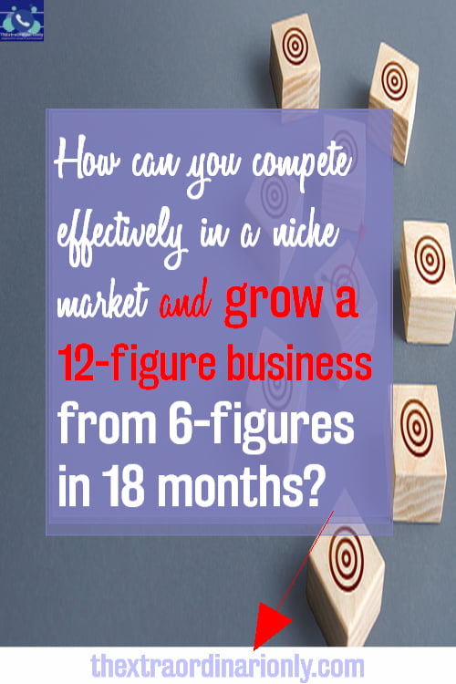 How can you compete effectively in the market and grow a twelve-figure business from six-figures in 18 months