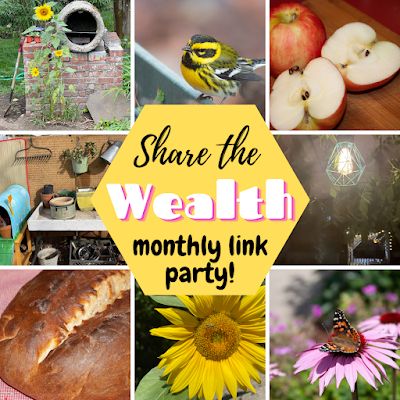 Share the wealth link party by my big fat menopause life