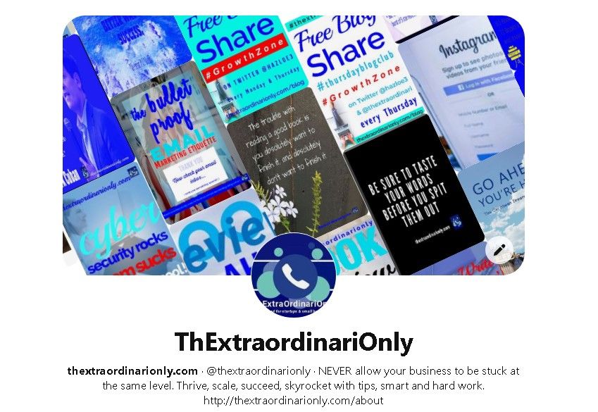 ThExtraordinariOnly Business Pinterest account