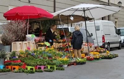 What is the market doing on this market day of flowers