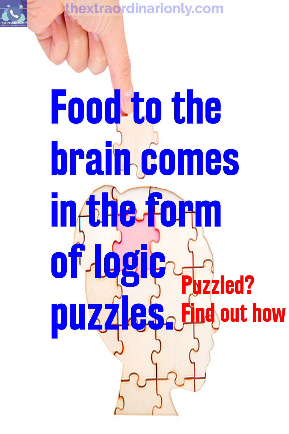 food to the brain comes in the form of logic puzzle games