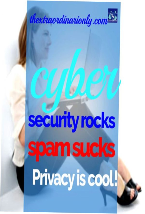 cyber security rocks spam sucks privacy is cool
